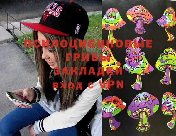 прущая мука Дмитров