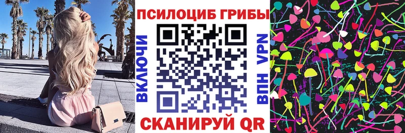 Галлюциногенные грибы мицелий  Купить закладки  Тосно 