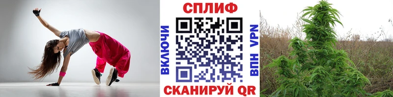 Купить закладки  Тосно  Бошки Шишки планчик 